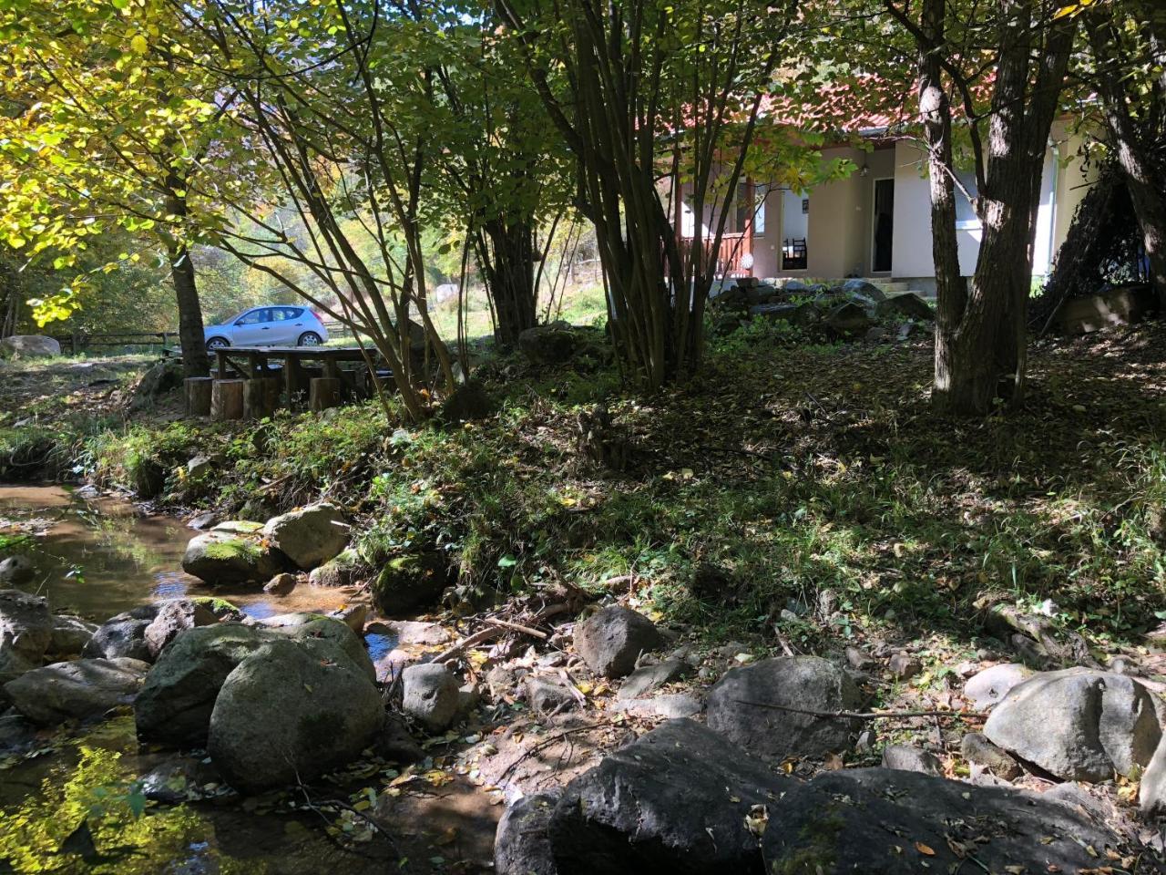 Vila Idila Crni Vrh Exterior photo